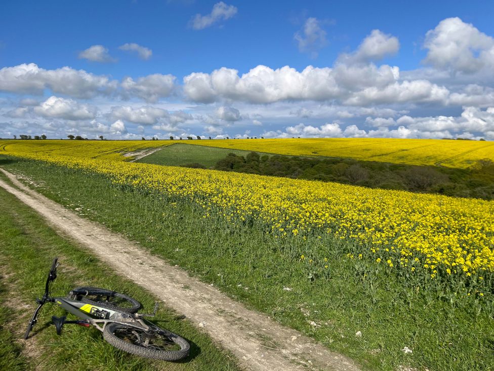 A bicycle on a dirt path alongside fields of rapeseed plants in East Chiltington near Lewes, Sussex