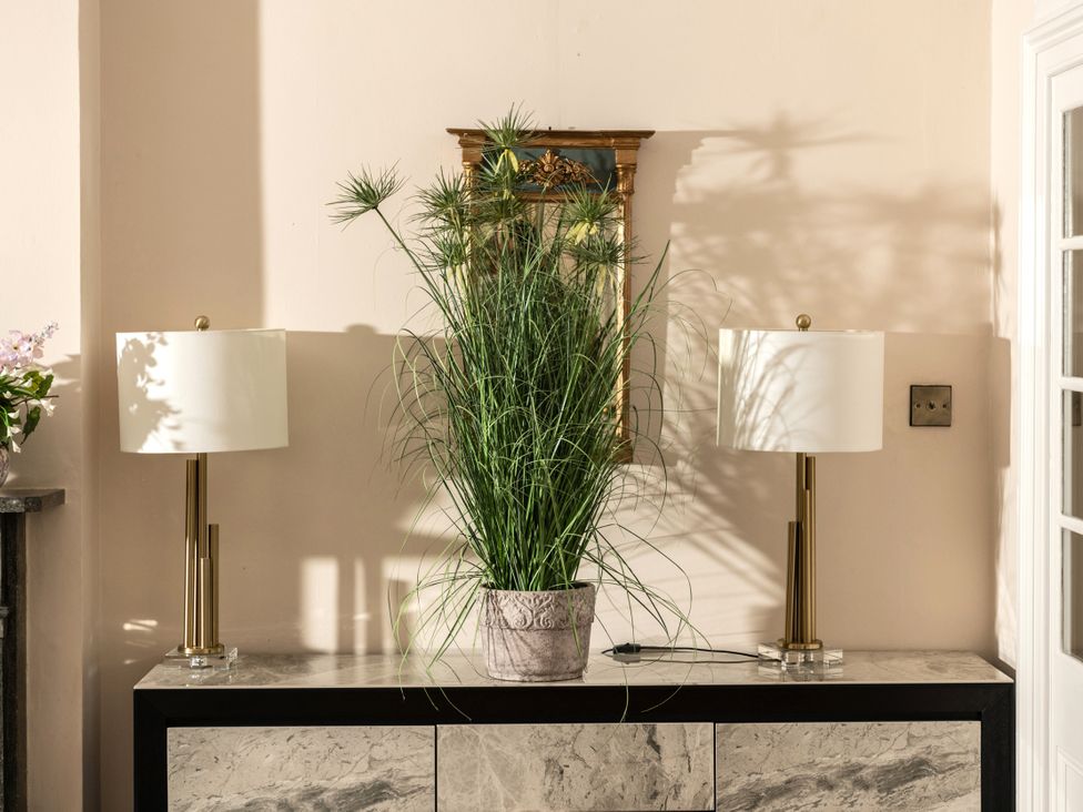 A table with a plant and lamps at The Downwood in Blandford Forum