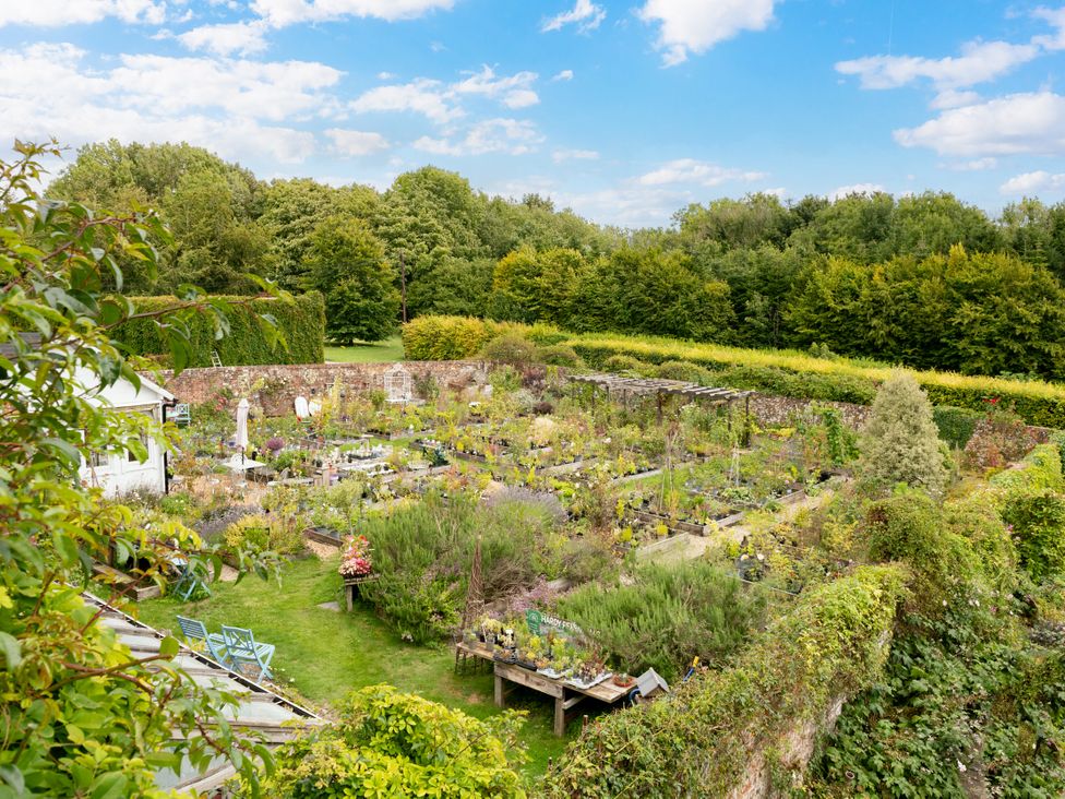 A garden with various plants and flower beds at The Downwood in Blandford Forum
