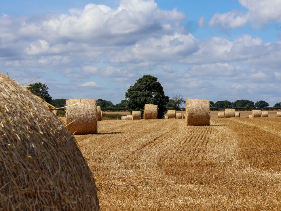 A field with hay bales and a tree at Crabtree Cottage Suffield near Scalby