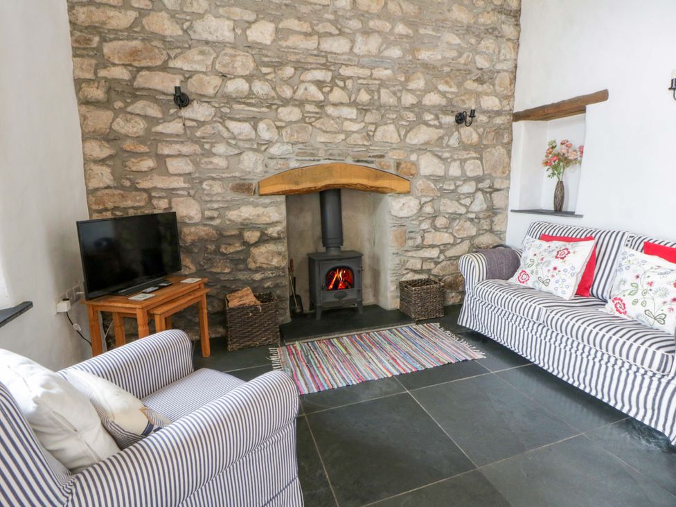 A living room with a fireplace and television at West End Cottage Newport, Pembrokeshire