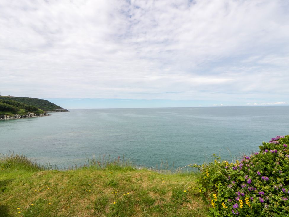 A view of the ocean and sky with green grass and flowers at Clifftop Carriage in Aberporth, Ceredigion
