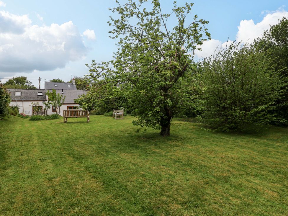 A garden with trees and benches at Brynawelon Newport, Pembrokeshire