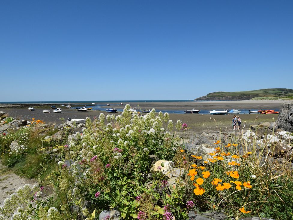A beach with flowers in the foreground and boats in the water at Brynawelon Newport, Pembrokeshire