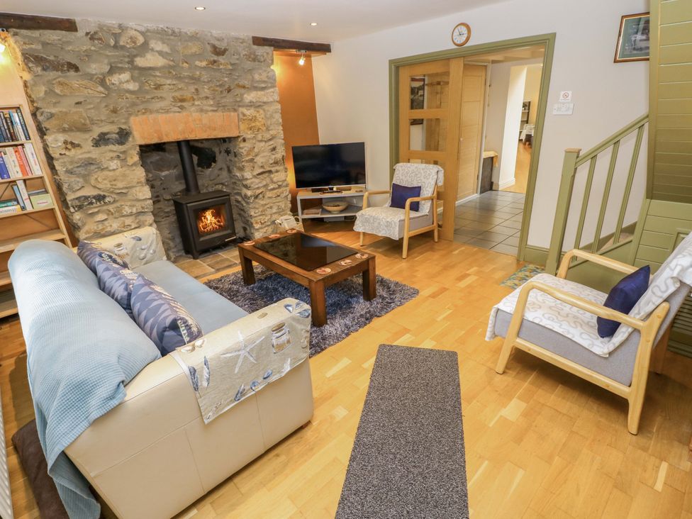 A living room with a fireplace and television at Greenbanks in Dinas Cross, Pembrokeshire
