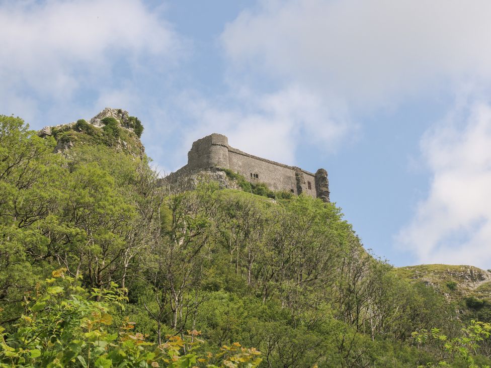 A castle on a hill with trees in the foreground at Dan Castell Cottage, Llandeilo, Carmarthenshire