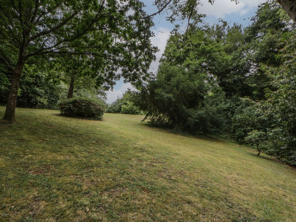 A garden with trees and grass at Panteg, Cardigan Llangoedmor Cardigan