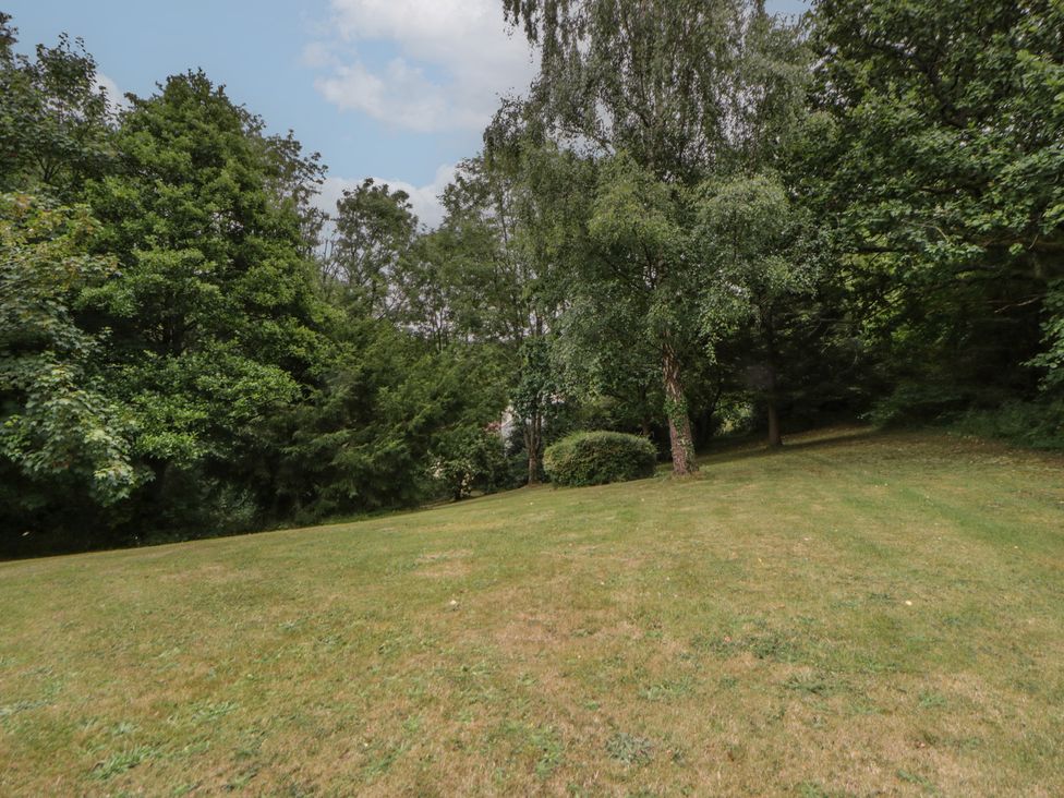 An outdoor area with grass and trees at Panteg, Cardigan Llangoedmor Cardigan