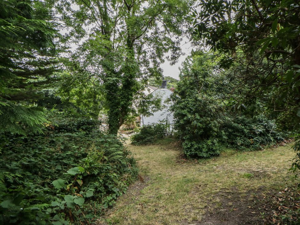 A path leading to a house surrounded by trees and bushes at Panteg, Cardigan Llangoedmor Cardigan