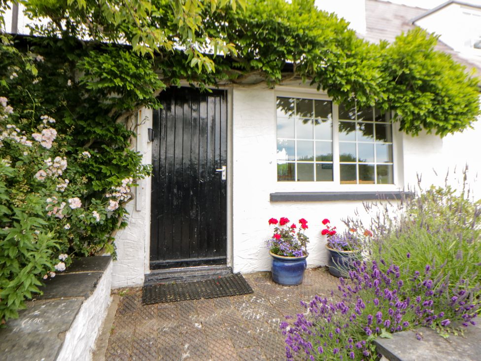 An entrance with a black door and flower pots at Beach Retreat in Aberporth
