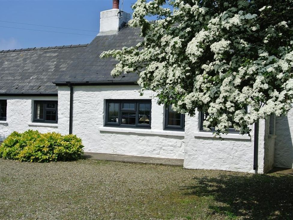Ty-Newydd Cottage - South Wales - 1036267 - thumbnail photo 19