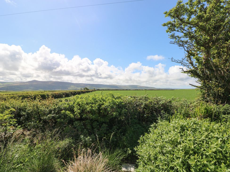 Ty-Newydd Cottage - South Wales - 1036267 - thumbnail photo 39