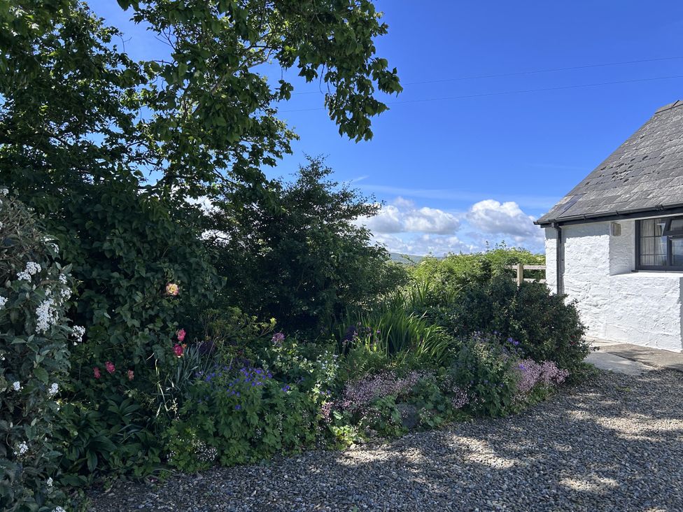A garden with flowers and trees at Ty-Newydd Cottage Nevern near Newport, Pembrokeshire
