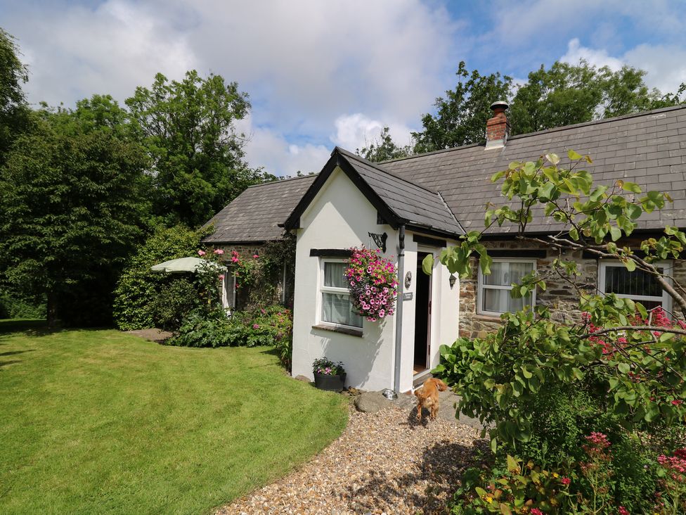 Trawsnant Cottage - Mid Wales - 1036292 - thumbnail photo 26