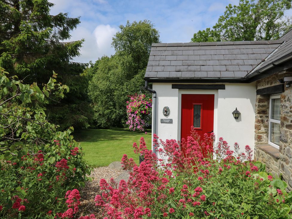 Trawsnant Cottage - Mid Wales - 1036292 - thumbnail photo 4