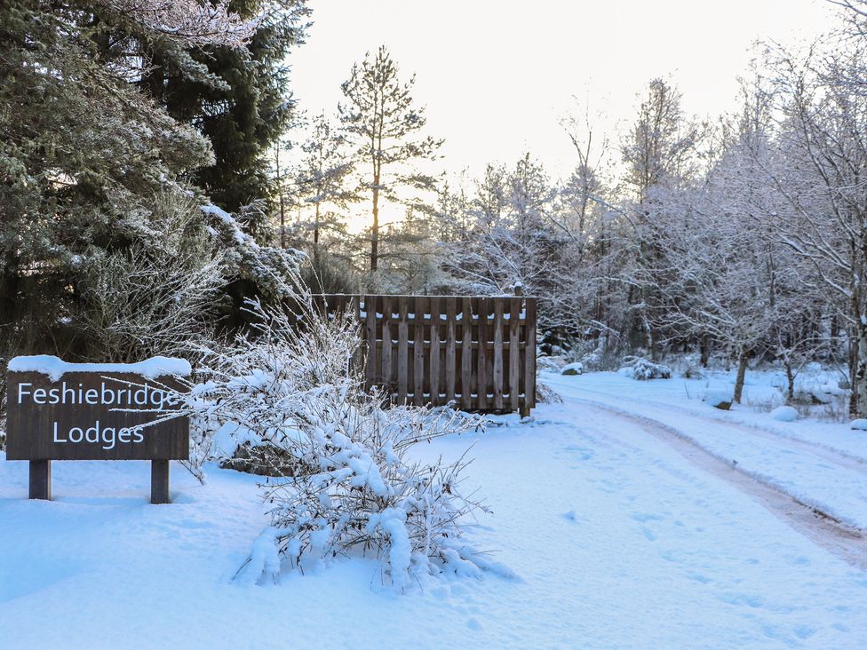A snowy path leading to Feshiebridge Lodges in a forest setting