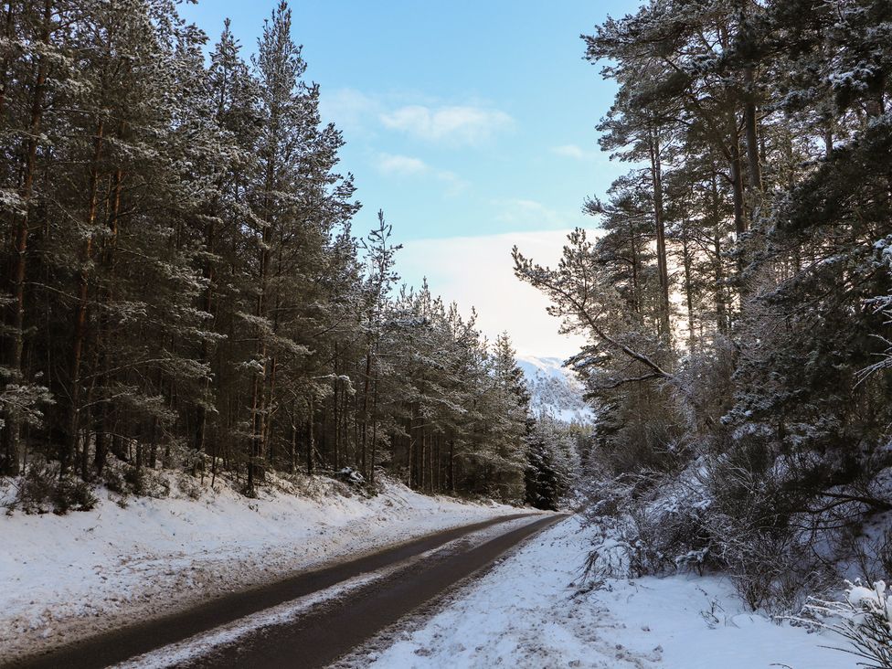 A road between snow-covered trees at Osprey Apartment in Aviemore