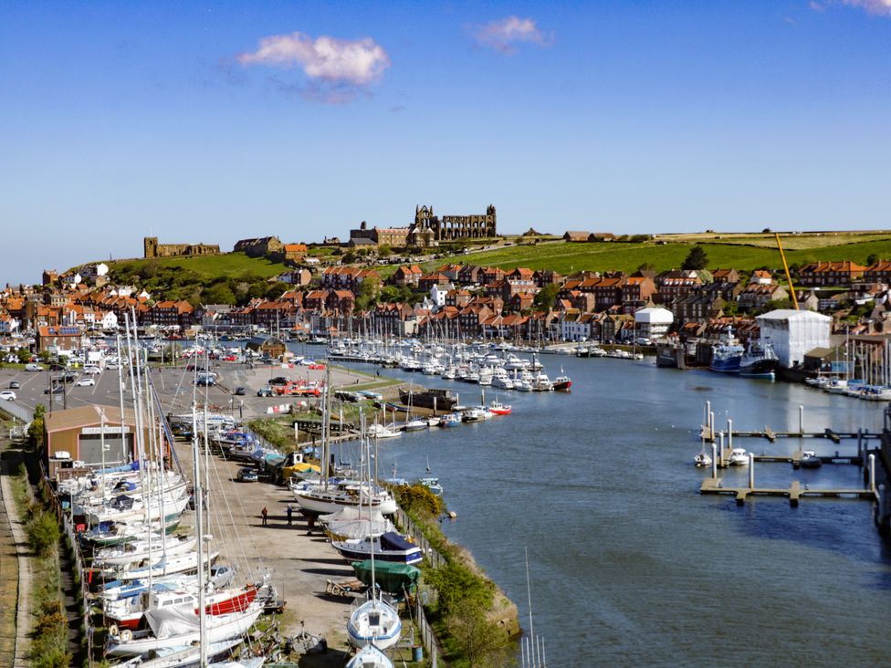 Harbour Walk - North Yorkshire (incl. Whitby) - 1036849 - thumbnail photo 23
