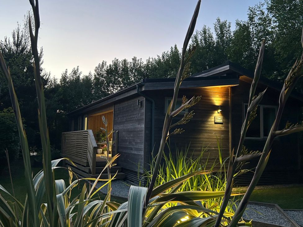 An exterior view of a cabin surrounded by plants at The Hideout in Lanreath