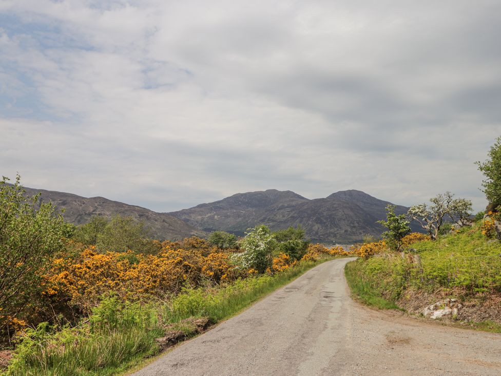 Roddy's Cottage - Scottish Highlands - 1037343 - thumbnail photo 27