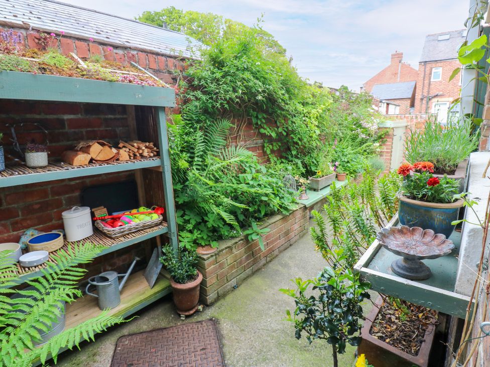 A garden with shelves and plants at 4 Ford Street in Lanchester