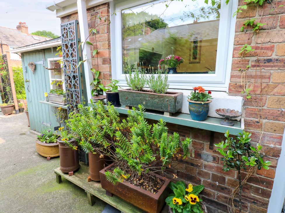 A garden area with plants and flower pots at 4 Ford Street Lanchester