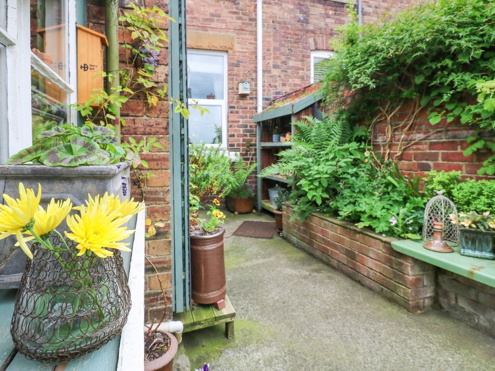 A garden with potted plants and flowers at 4 Ford Street Lanchester