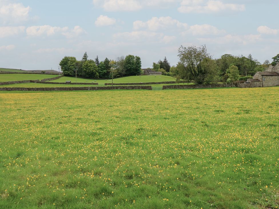 A field with yellow flowers and trees at White Lea in Reeth