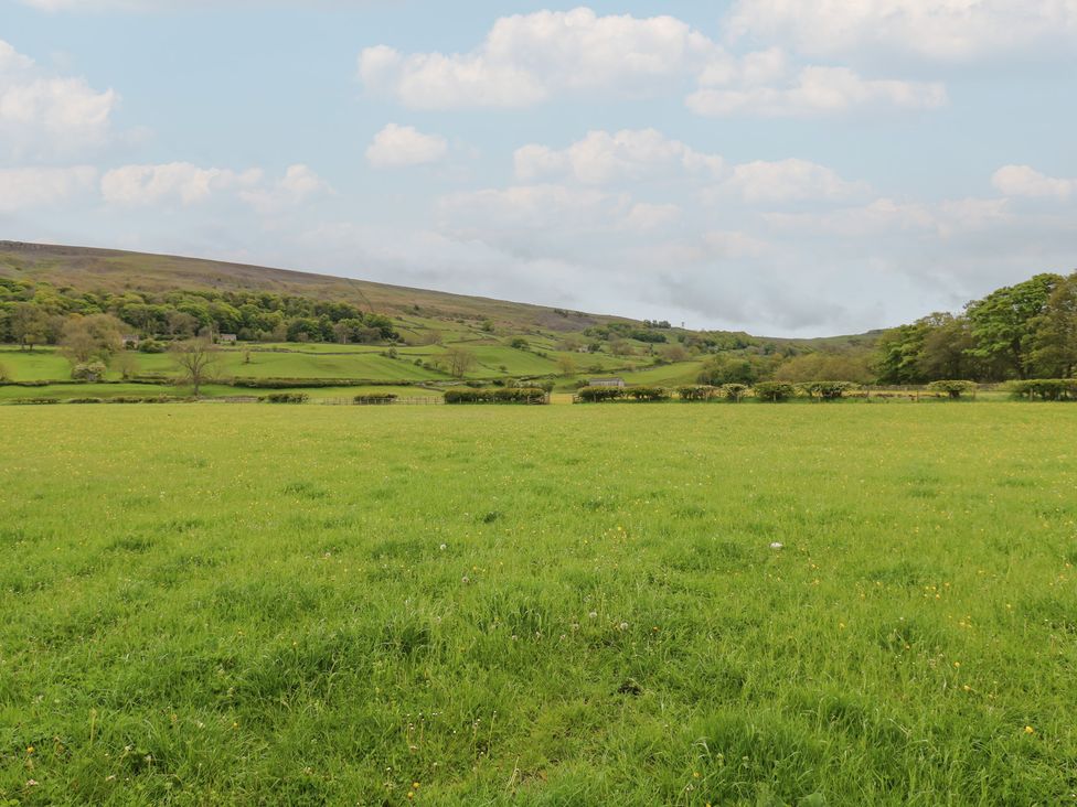 A field with hills and trees at White Lea in Reeth