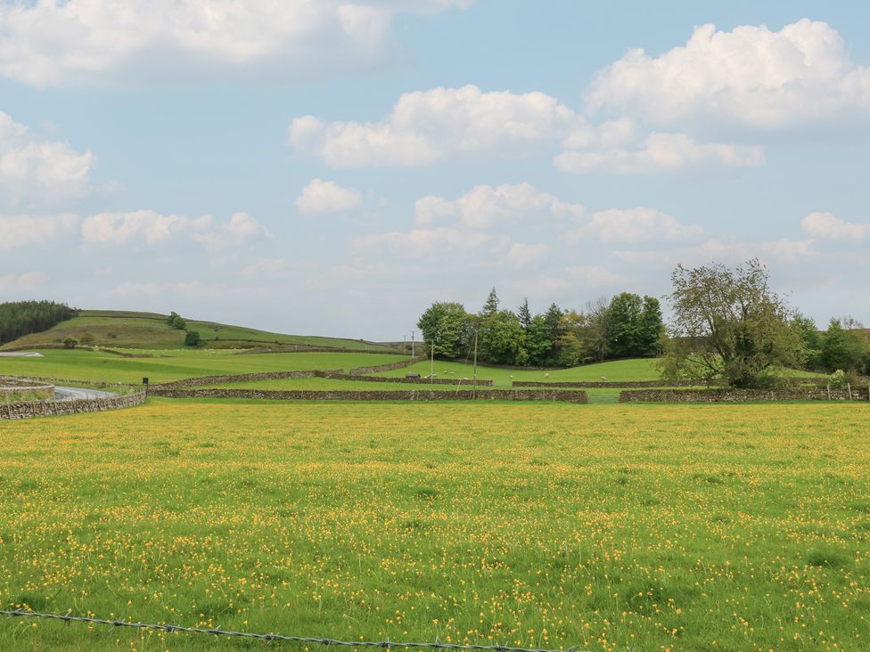 A field with wildflowers and trees at White Lea, Reeth
