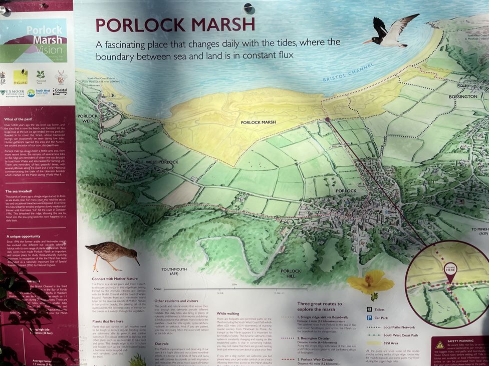 A map and information board about Porlock Marsh at Porlock