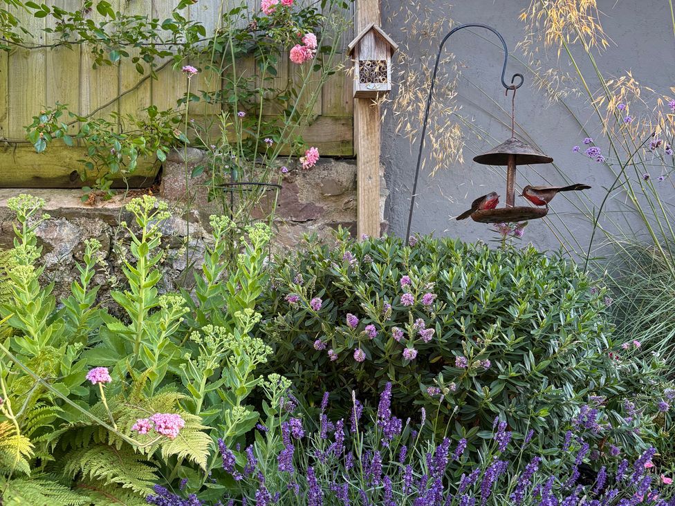 A garden with a bird feeder and flowers at 3 Lowerbourne Terrace Porlock