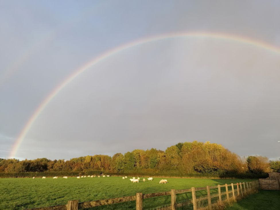 A field with cows and a rainbow at Buttercups at Midway in Kington