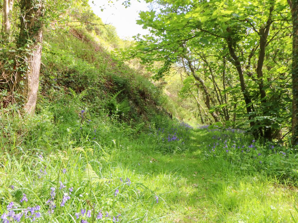 Glyn Yr Efail - South Wales - 1039765 - thumbnail photo 32