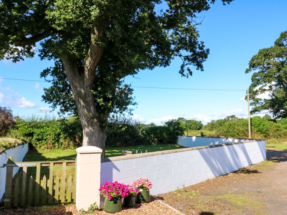 A garden with a tree and flower pots at Tight Lyne Cottage in Longtown