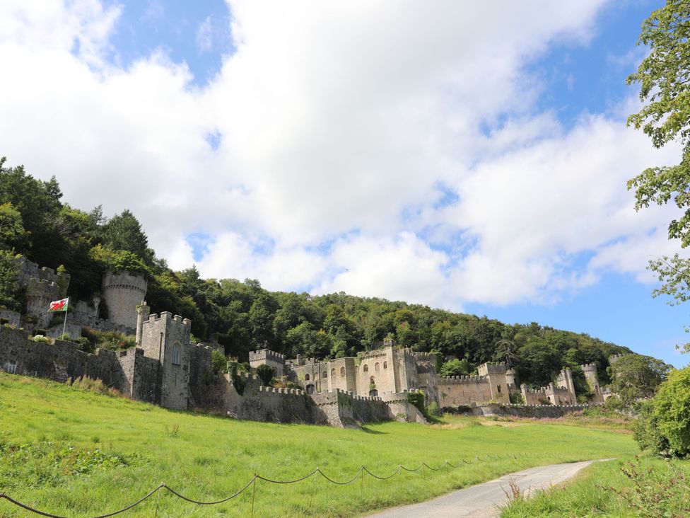 A castle with stone walls and a flag surrounded by grass at Castle Cove in Abergele