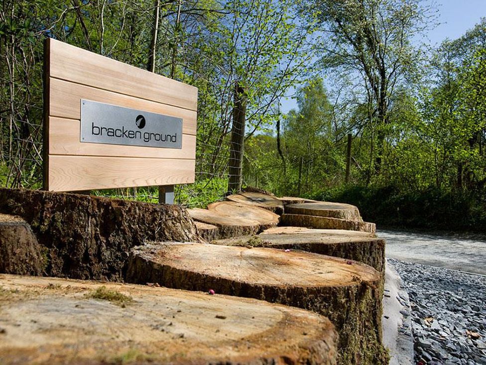 Bracken Ground Coniston Hill Park Fm The Lake District And