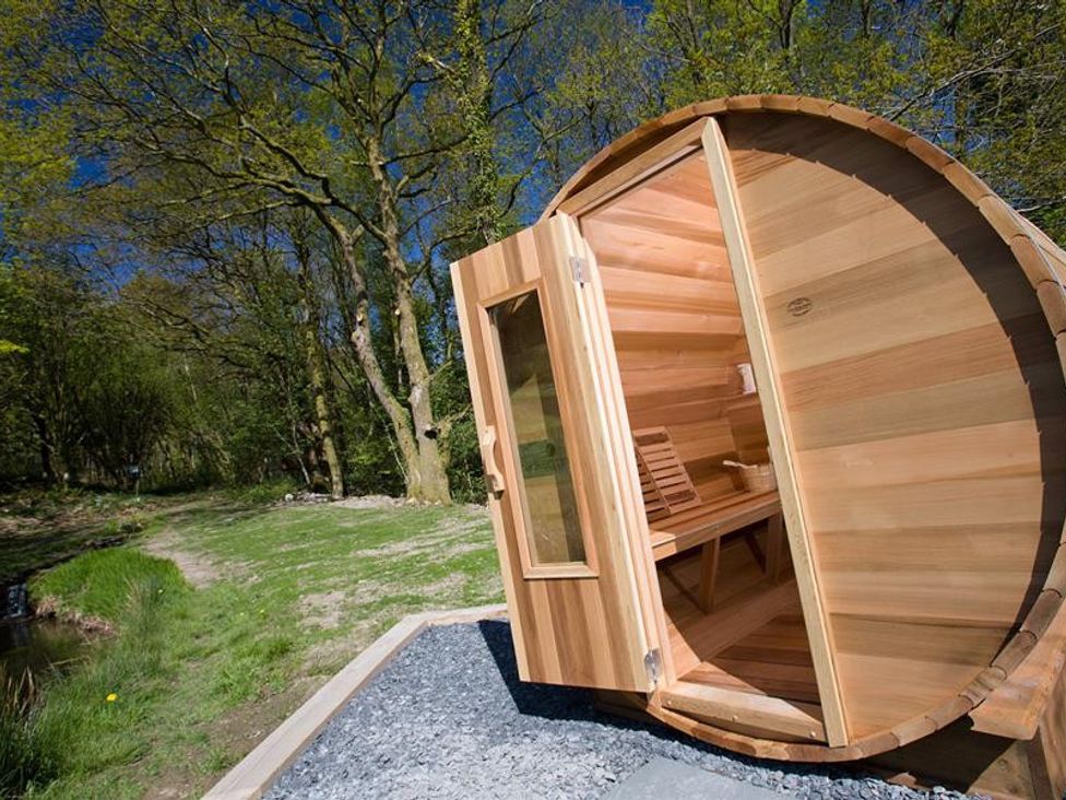 Bracken Ground Coniston Hill Park Fm The Lake District And