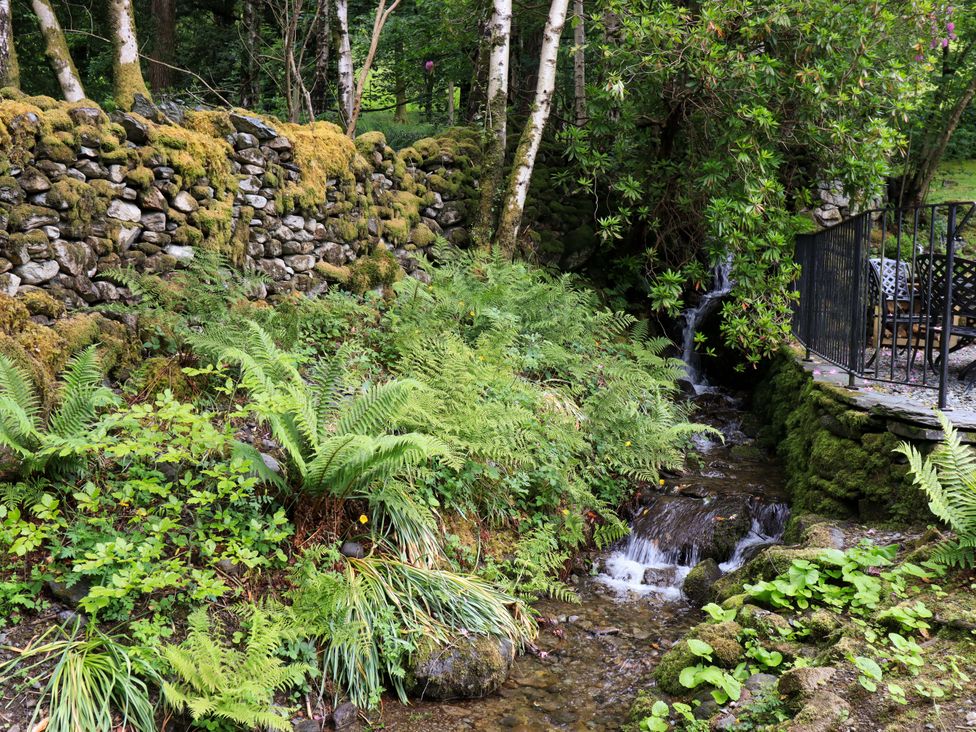 A stream with ferns and stone wall at Underheron in Grasmere