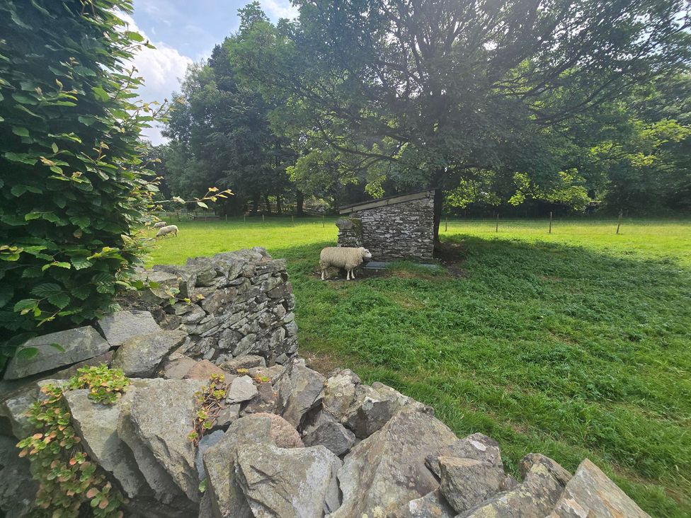 A sheep near a building under a tree at Rowanberry Cottage Grasmere