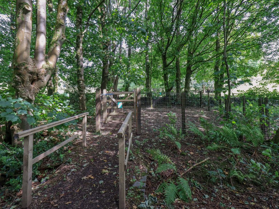 An outdoor area with trees and a gate at Abbots Reading Suite in Lakeside