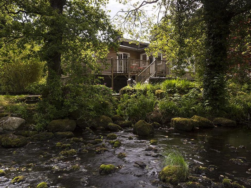Rosewood by the River - Lake District - 1041489 - thumbnail photo 2