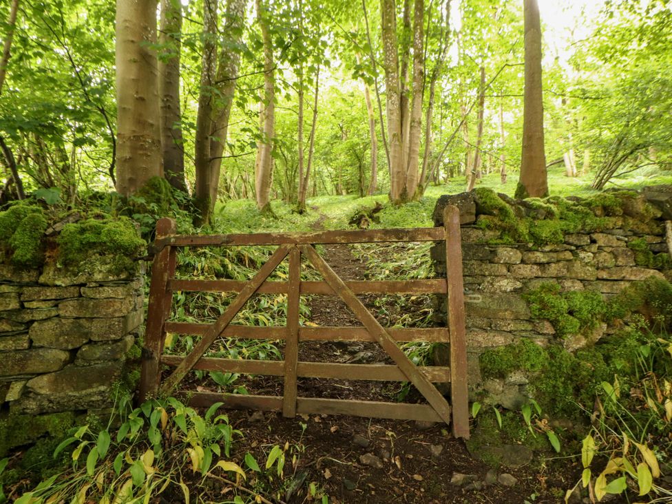 A wooden gate next to a stone wall in a forest at Durham Bridge Barn in Crosthwaite