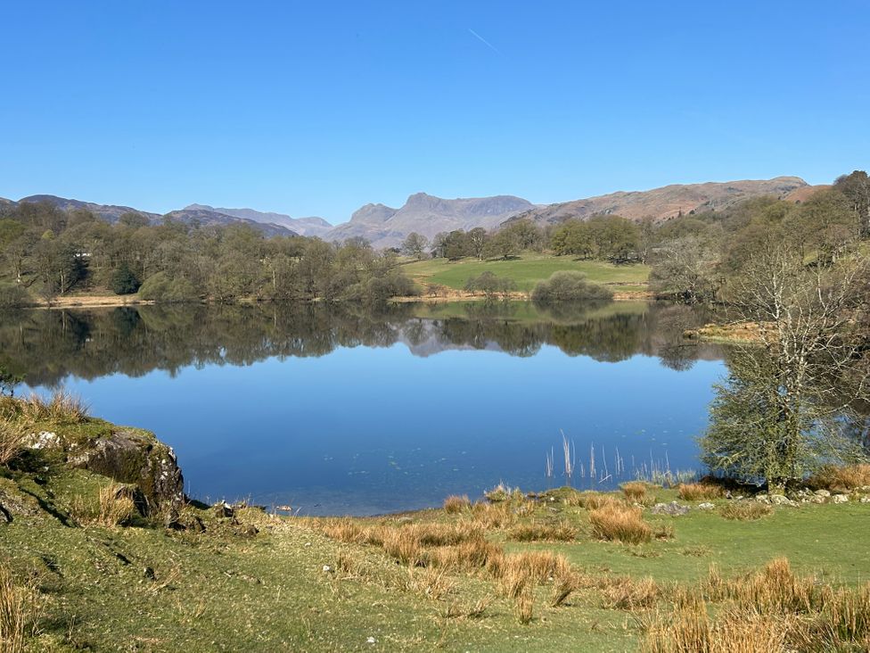 Puddleduck - Lake District - 1042911 - thumbnail photo 27
