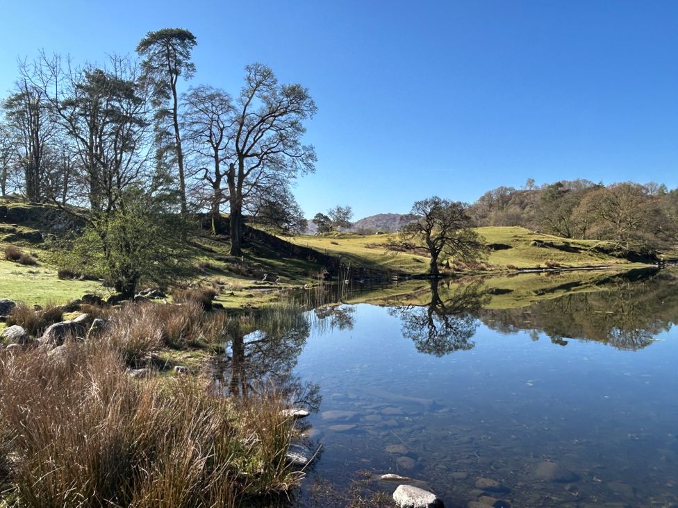 Puddleduck - Lake District - 1042911 - thumbnail photo 28