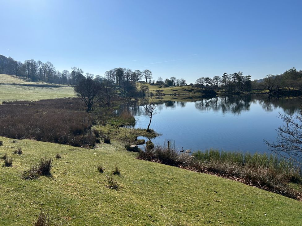 Puddleduck - Lake District - 1042911 - thumbnail photo 30