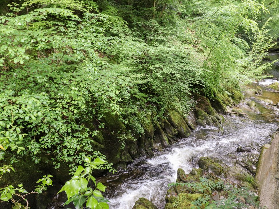 Jenever Cottage - Lake District - 1043127 - thumbnail photo 37