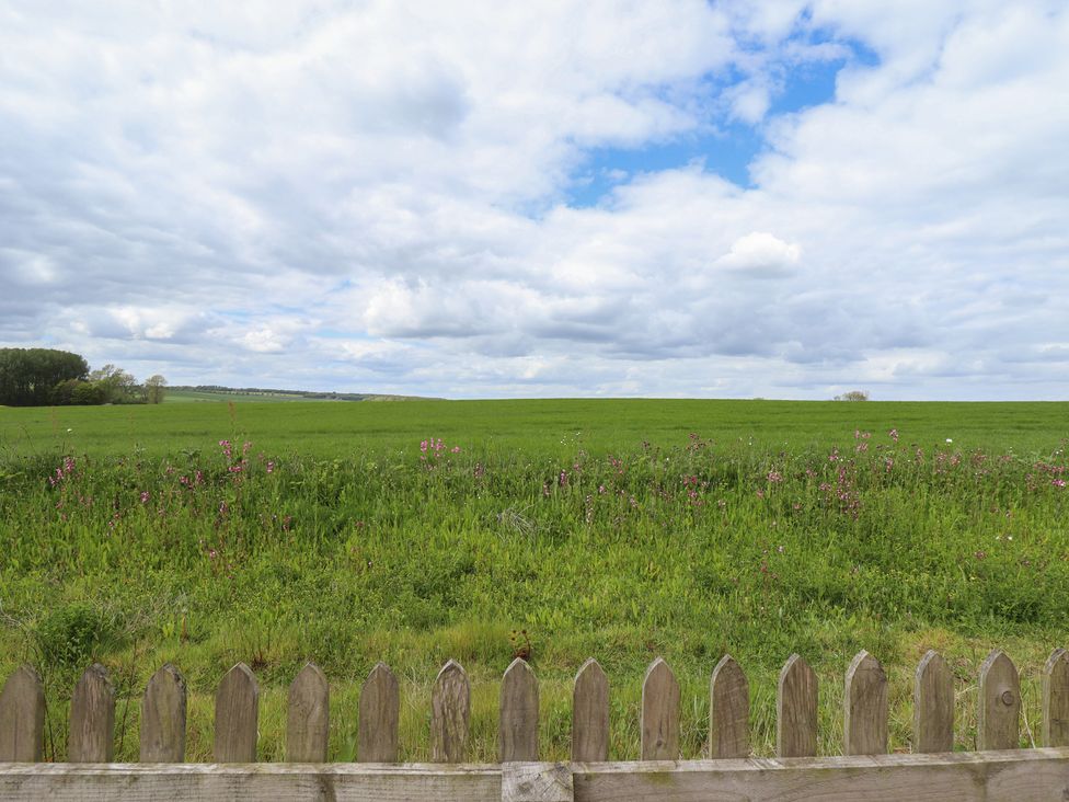 A field with grass and flowers seen through a wooden fence at Shepherd's Cottage in Claythorpe near Alford