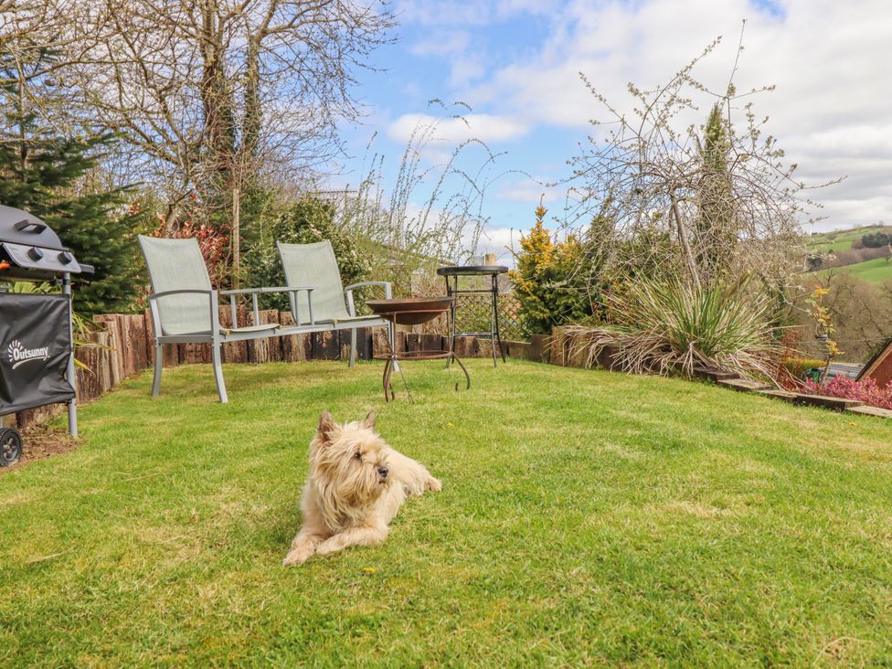 A garden with a dog and furniture at The Rhiw in Llanfair Caereinion