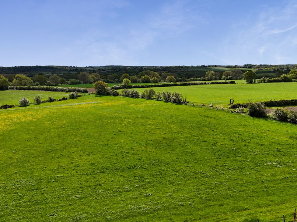 A green field with trees and hedgerows at Ploughman's Rigg in Follifoot near Spofforth
